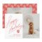 Happy Howlidays Paw Pet Dog Christmas Photo