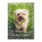 Happy Howlidays Pet Lover Holiday Photo Card