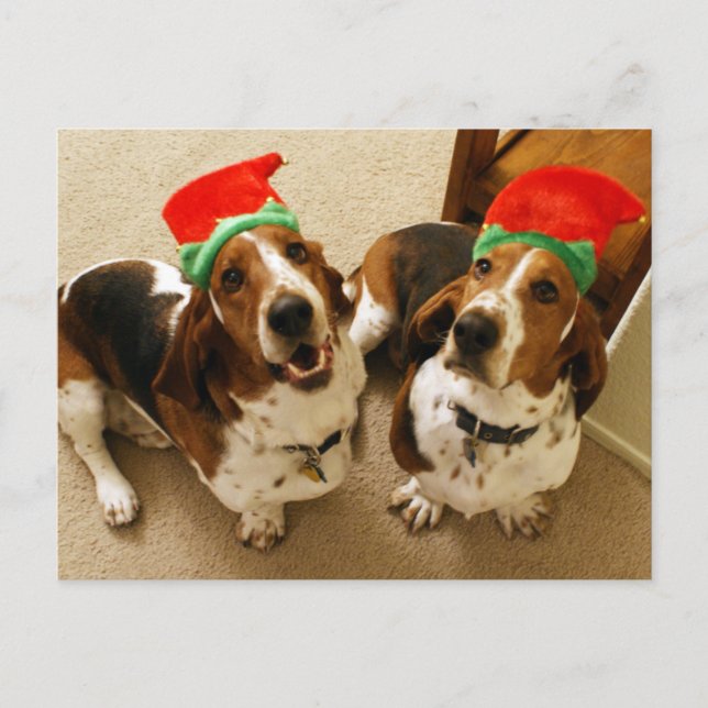 Happy Howlidays Postcard (Front)