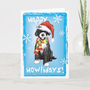 Happy Howlidays PWD Holiday Card