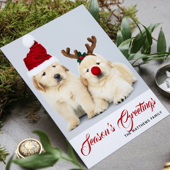 Happy Howlidays Season's Greetings Photo Christmas Holiday Card (Creator Uploaded)