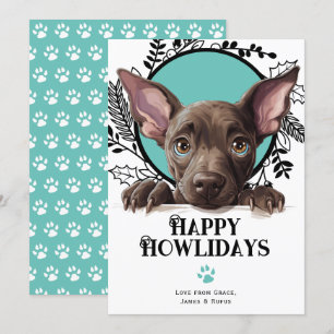 Happy Howlidays Xoloitzcuintli Dog Christmas Holiday Card