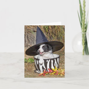 Happy Howloween! Card
