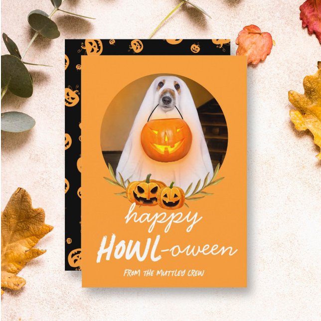 Happy Howloween | Halloween Pet Photo Holiday Card (Creator Uploaded)