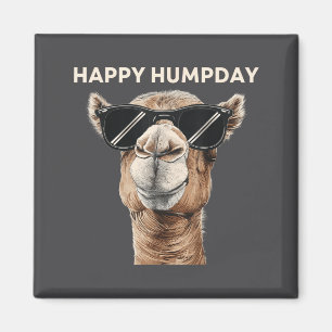 Happy Hump Day Camel Funny Midweek Motivational Qu Magnet