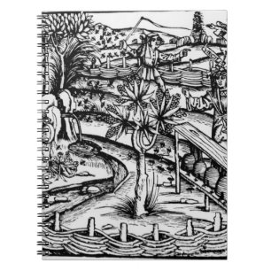 Happy husbandsmen tending bees, illustration from notebook