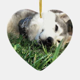 Happy Husky Ceramic Tree Decoration