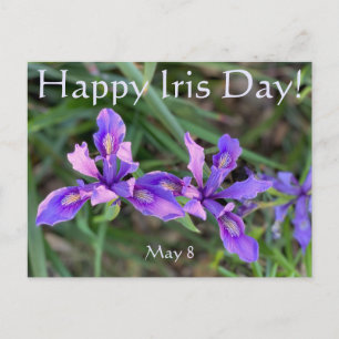 Happy Iris Day! Postcard