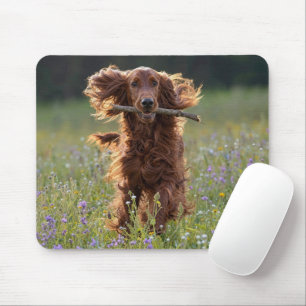 Happy Irish Setter in Wildflower Field Mouse Mat