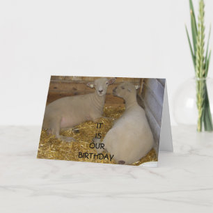 HAPPY IT IS "OUR" BIRTHDAY CARD