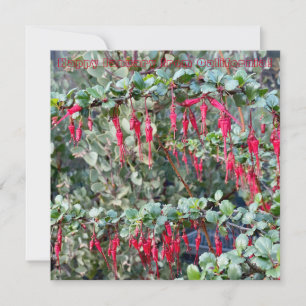 Happy January from California! Card