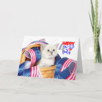 Happy July 4th Cat