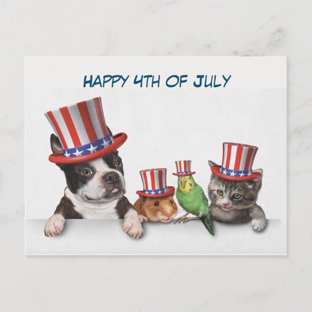 Happy July 4th Holiday Postcard (Front)