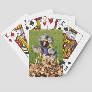 Happy Kees Playing Cards