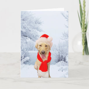 Happy Lab Santa White Christmas Holiday Card