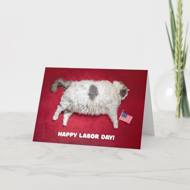 Happy Labor Day Funny Fat Cat Card (Front)