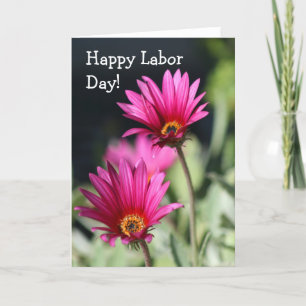 Happy Labour day Pink Daisy greeting card
