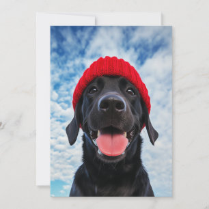 Happy Labrador in a Red Beanie Under a Blue Sky Invitation