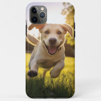 Happy Labrador Puppy Running