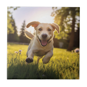 Happy Labrador Puppy Running Tile