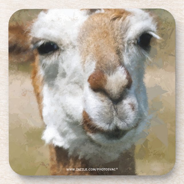 Happy Lama, Painting Effect Coaster (Front)