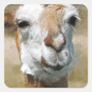 Happy Lama, Painting Effect Square Sticker