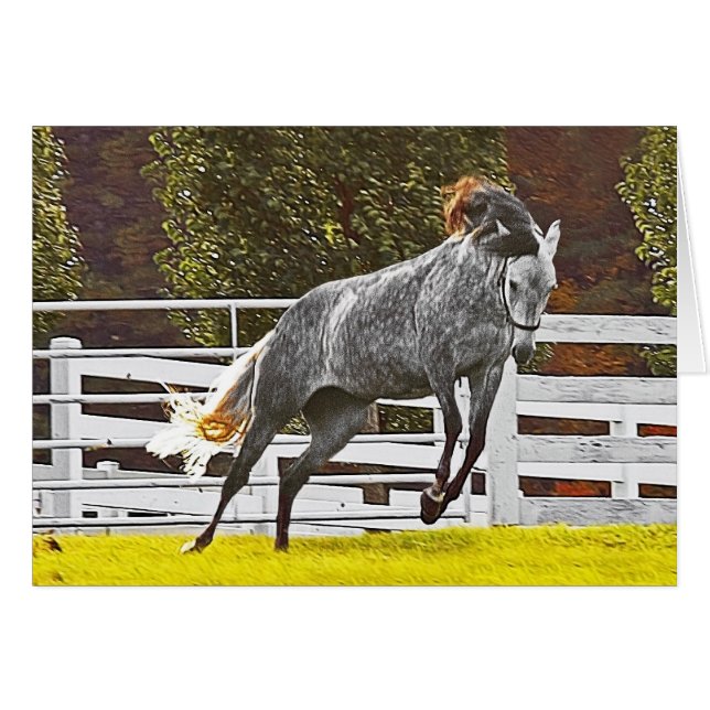 Happy Leaping Horse (Front Horizontal)