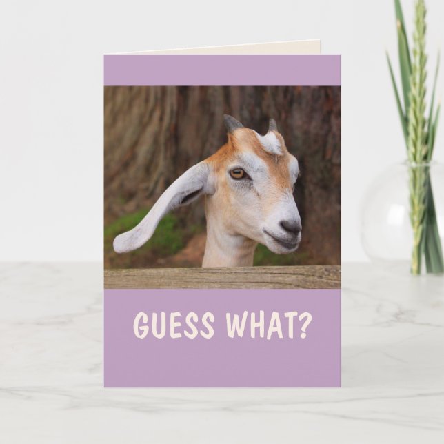Happy Little Goat Birthday Card (Front)