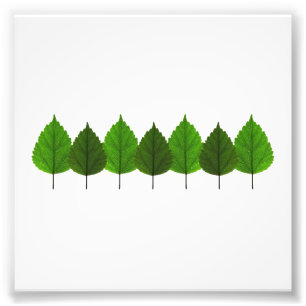 Happy Little Green Tree Leaf Forest Photo Print