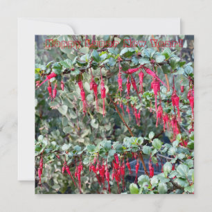Happy Lunar New Year Card