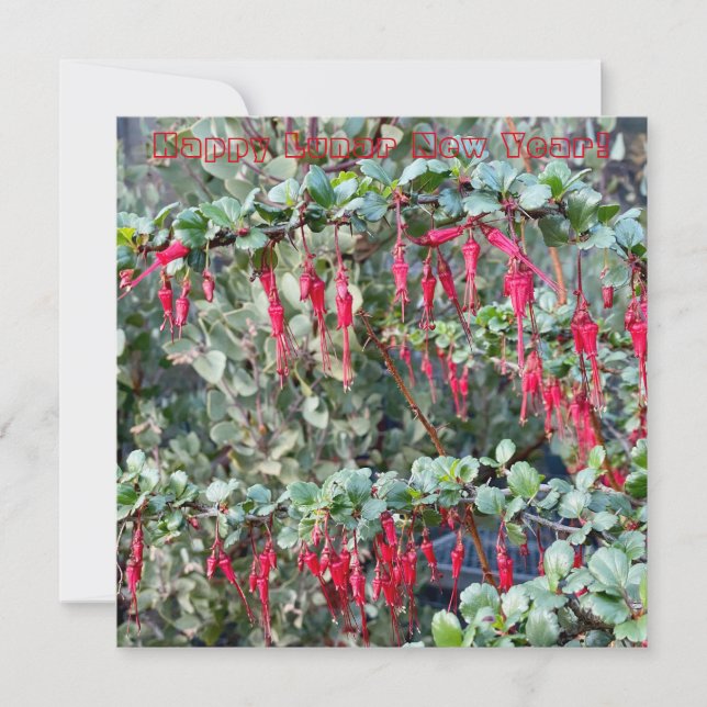 Happy Lunar New Year Card (Front)