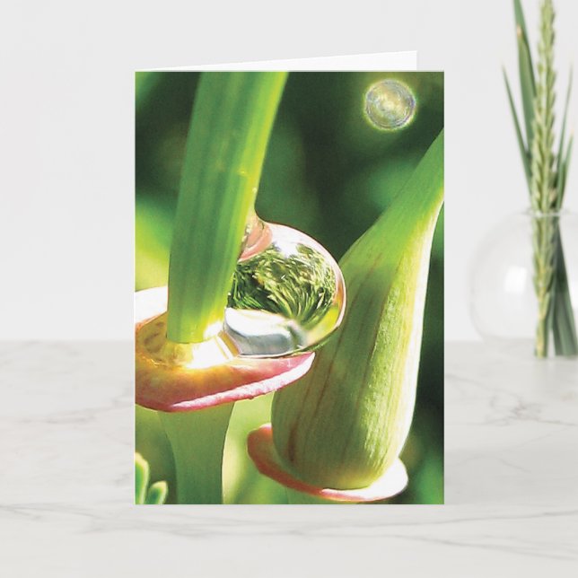 Happy, Magical, Dew Drop Friendship Card (Front)