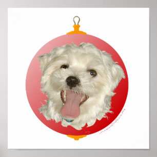 Happy Maltese Christmas Ornament Poster