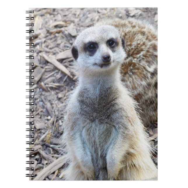 Happy Meerkat, Notebook (Front)