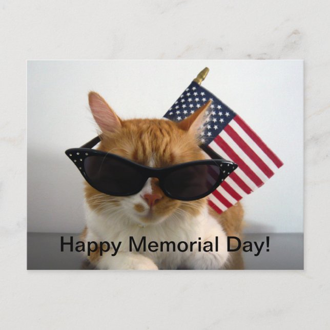 Happy Memorial Day Cool Cat with Flag Postcard (Front)