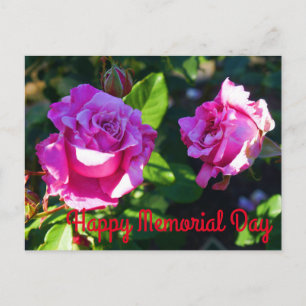 Happy Memorial Day - Memorial Day Rose #1 Postcard