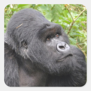 Happy Monkey Square Sticker