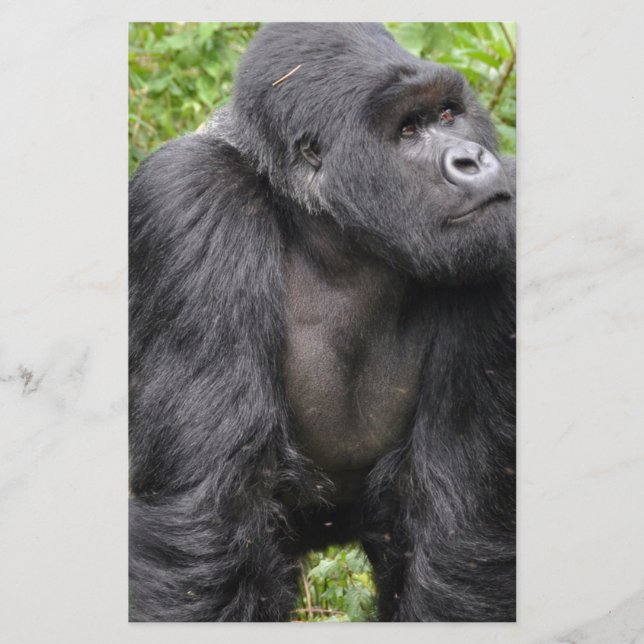 Happy Monkey Stationery (Front)