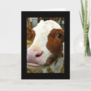Happy MOO Year! Holiday Card