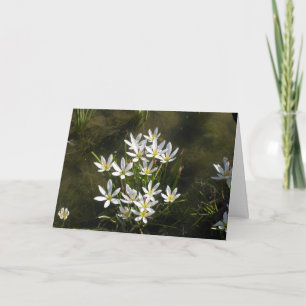 Happy Mother’s Day! Card