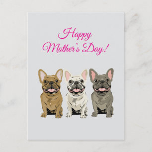 Happy Mother’s Day! French Bulldogs Postcard