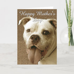Happy Mother's Day American bulldog greeting card