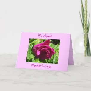 Happy Mother's Day-Aunt Card