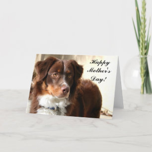 Happy Mother's Day Aussie greeting card