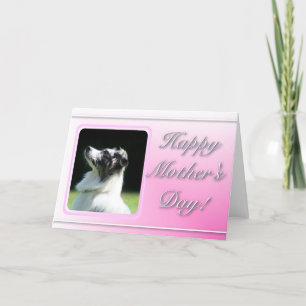 Happy Mother's Day Australian Shepherd card
