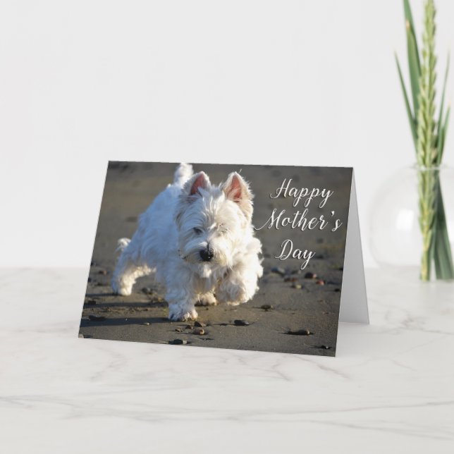 Happy Mother's Day Beachcombing Westie Photo Card (Front)