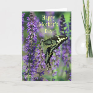 Happy Mother's Day ~ Bella Butterfly Card