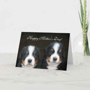 Happy Mother's Day Bernese Puppies greeting card
