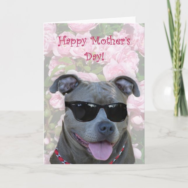 Happy Mother's Day Blue pitbull with glasses Card (Front)