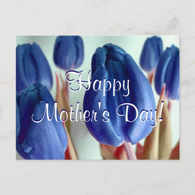 Happy Mother's Day Blue Tulips Postcard (Front)